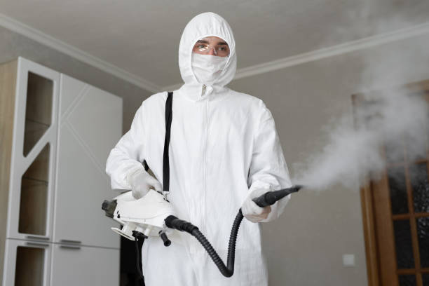 Best Asbestos and Lead Testing During Mold Inspection  in St Pete Beach, FL